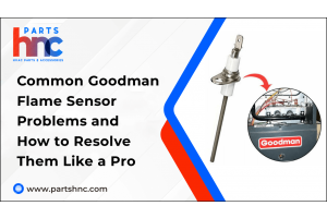 Common Goodman Flame Sensor Problems and How to Resolve Them Like a Pro-PartsHnC