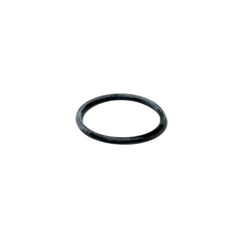 Henry Technologies 2-023-002 O-Ring