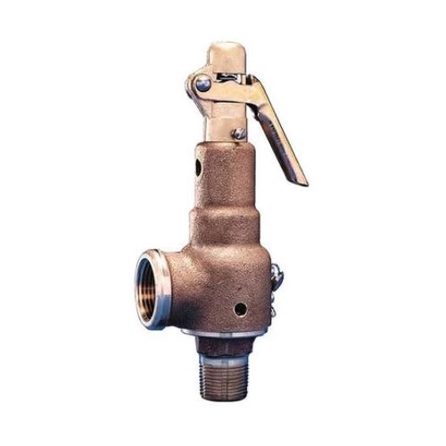 Kunkle Valve 6021DCT01AAM0100 Steam Relief Valve 1/2" x 3/4" 100 PSI 644 PPH