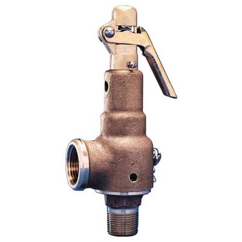 Kunkle Valve 6021GFT01AAM0150 Relief Valve 1.25" x 1.5" 150 PSI 4234 PPH