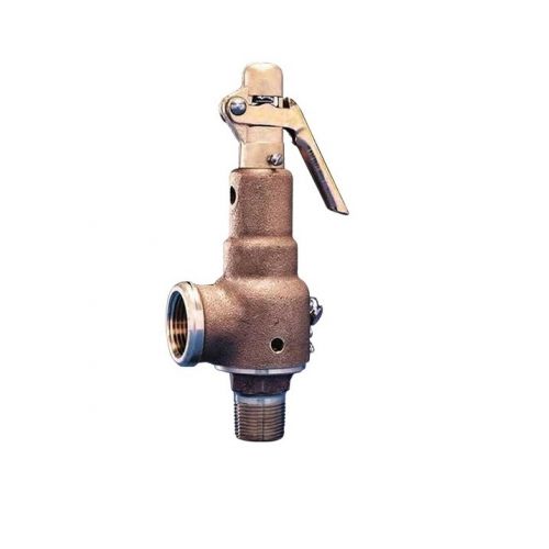 Kunkle Valve 6021JJT01AAM0250 Safety Relief Valve 2.5" X 2.5" 150 PSI 17404 LB/HR