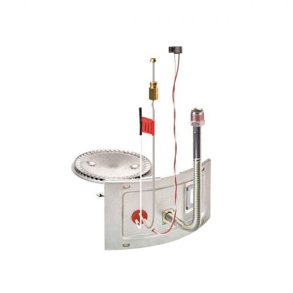 Sp21171 Rheem Rheem-Ruud SP46741 Burner Assembly | PartsHnC