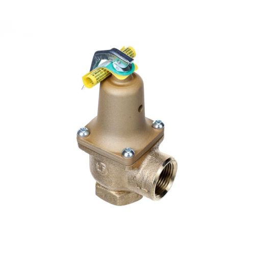 Raypak 007756F Pressure Relief Valve Kit 1" NPT 75 PSI Hi Delta