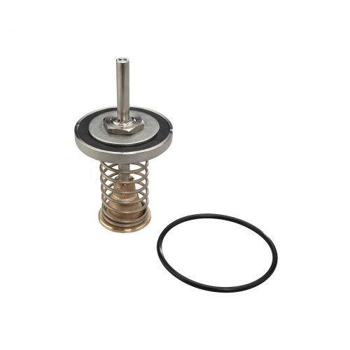 WATTS 0794018 10" Fourth Check Repair Kit