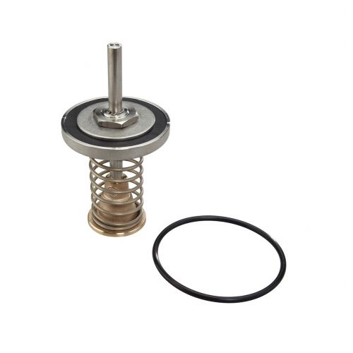 WATTS 0794100 10" First Check Repair Kit