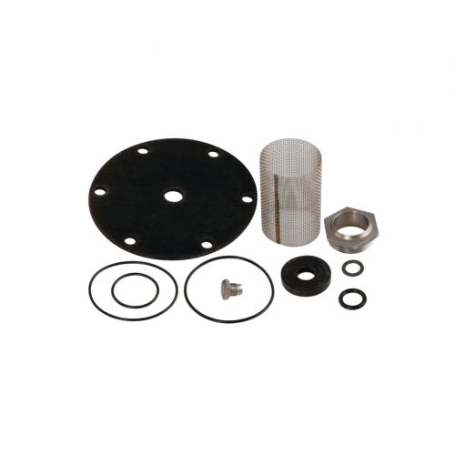 Watts 0864944 1-1/4" Repair Kit 25AUB-RK