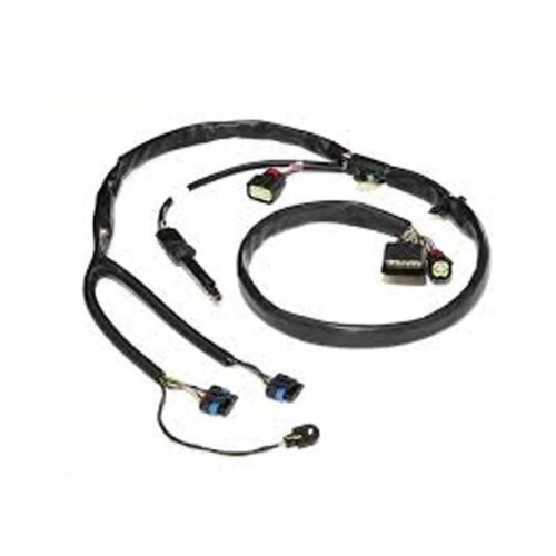 Electrode Spark Harness Kit For Lochinvar & A.O. Smith Part# 100208633