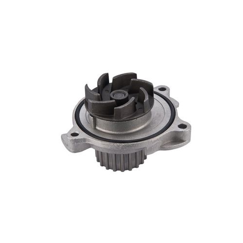 Pump Assembly For Lochinvar & A.O. Smith -Part# 100277957
