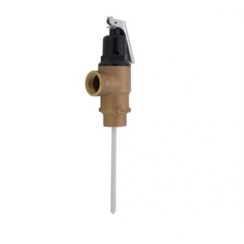 Bradford White 415-30246-00 Temperature & Pressure Relief Valve