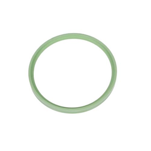 Weil McLain 593-000-006 Gasket ECO 3-6