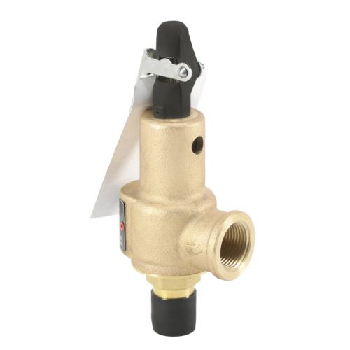 Kunkle Valve 6010DCM01AAM0100 100# Relief Valve 1/2X3/4 Inch 643Pph