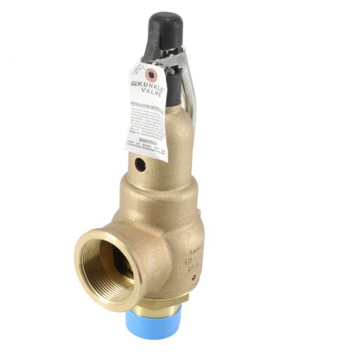 Kunkle Valve 6021JHT01AAM0050 2X2.5 50# 4260Pph Stm Rlf Valve