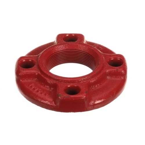 Armstrong Fluid Technology 806074-011 Flange Red 2 NPT CI