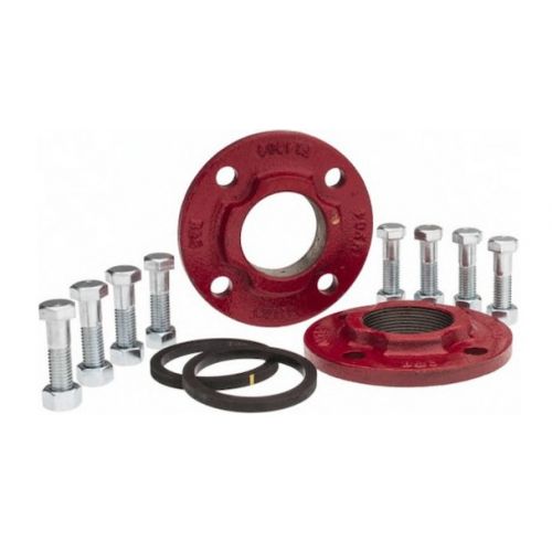 Armstrong Fluid Technology 806074-111K  Cast Iron 2" Flange Set