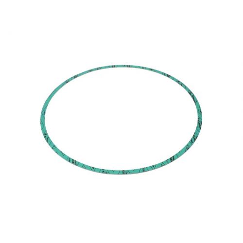 Armstrong Fluid Technology 8426401-005 13" Nitrile Gasket