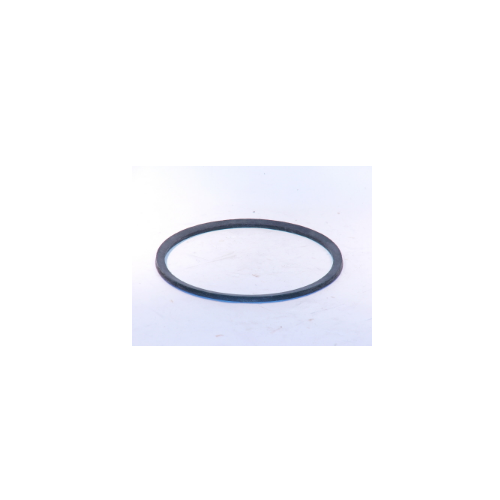 Pump Head Gasket For Xylem-Hoffman Specialty Part# Dg0092