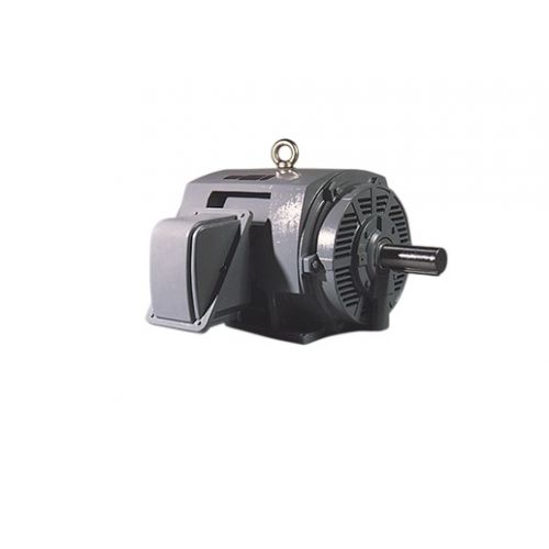 TECO-Westinghouse DHP0204G 20HP Motor 1770 RPM 256T 460V