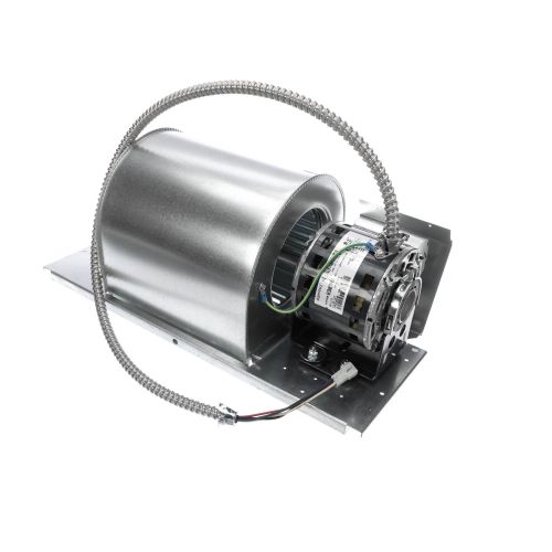 International Environmental F400-00088769 Blower Motor Assembly M Y03