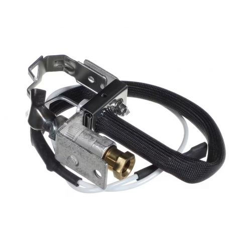 Schwank JX-0205-XX Pilot Burner Assembly C/W Spark