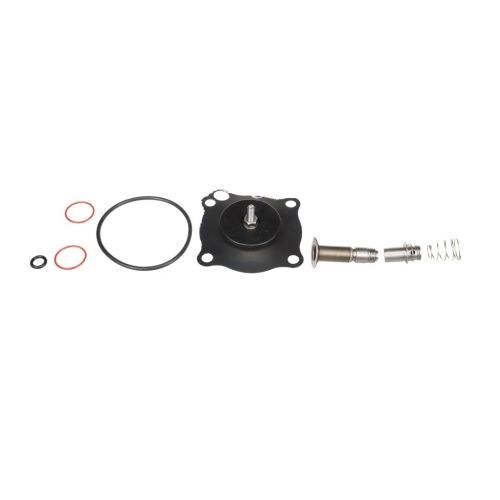 GC Valves KS211AH02N5FG9 Repair Kit