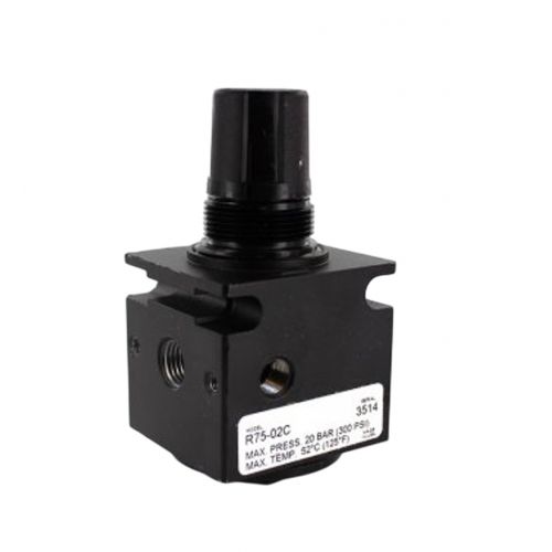 1/4"Regulator 0/125#Out 300#In For Parker Watts Fluid Air -Part# R75-02C