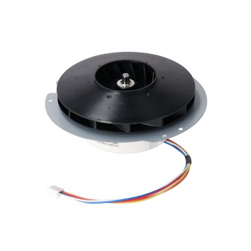 Rheem-Ruud RTG20239BL Blower Motor