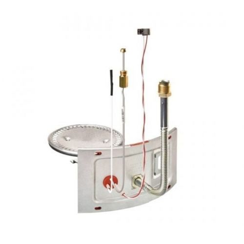 Rheem-Ruud SP43279 Burner Assembly Kit