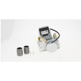Lochinvar & A.O. Smith 100172009-Natural Gas Valve Assembly | PartsHnC